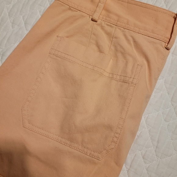 Muted Pink Madewell Pleated Shorts Sz 6 - Picture 8 of 8